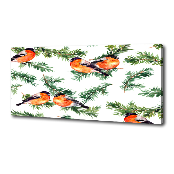 Canvas foto Roodborstje op een naaldboom