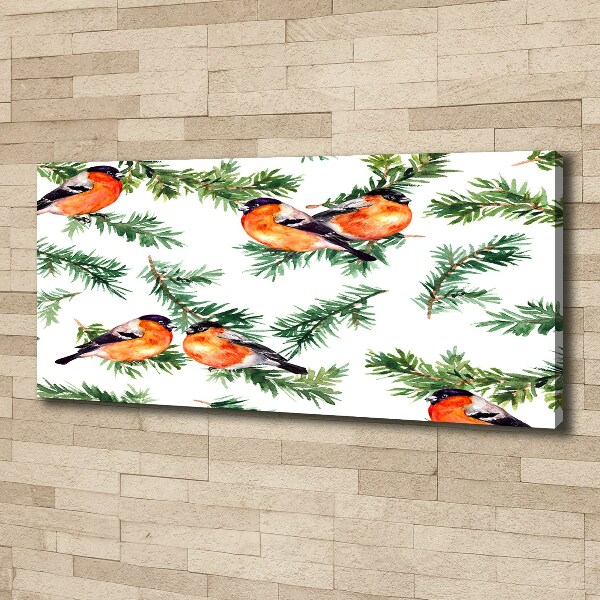 Canvas foto Roodborstje op een naaldboom