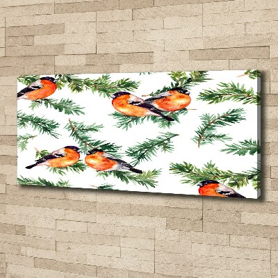 Canvas foto Roodborstje op een naaldboom