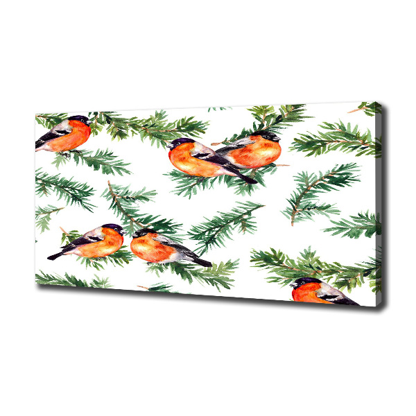 Canvas foto Roodborstje op een naaldboom