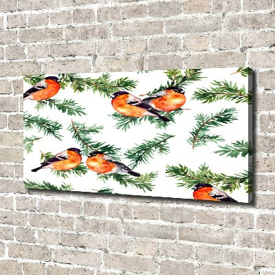 Canvas foto Roodborstje op een naaldboom