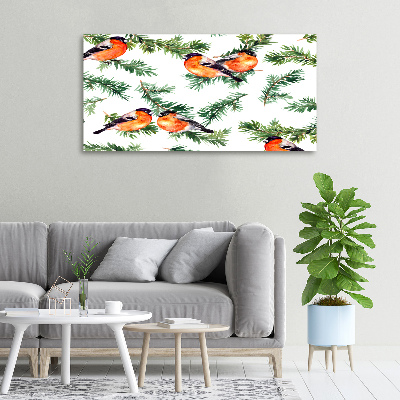 Canvas foto Roodborstje op een naaldboom