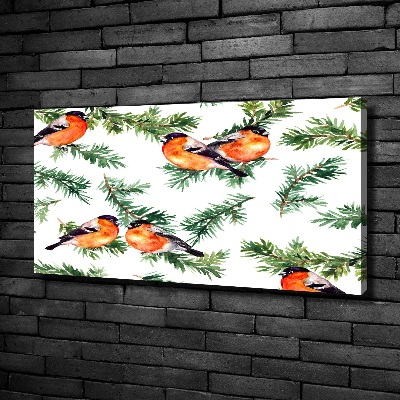 Canvas foto Roodborstje op een naaldboom