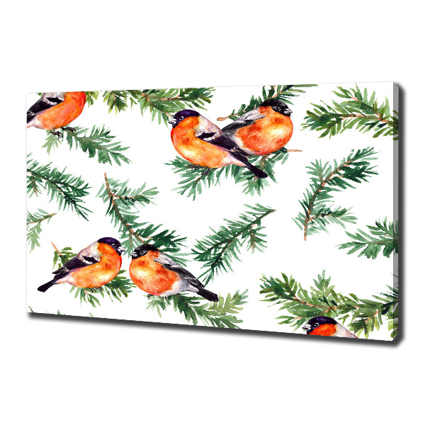 Canvas foto Roodborstje op een naaldboom