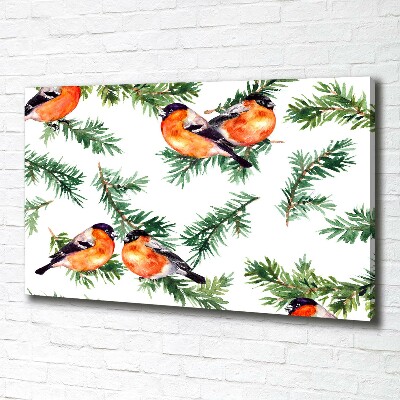 Canvas foto Roodborstje op een naaldboom