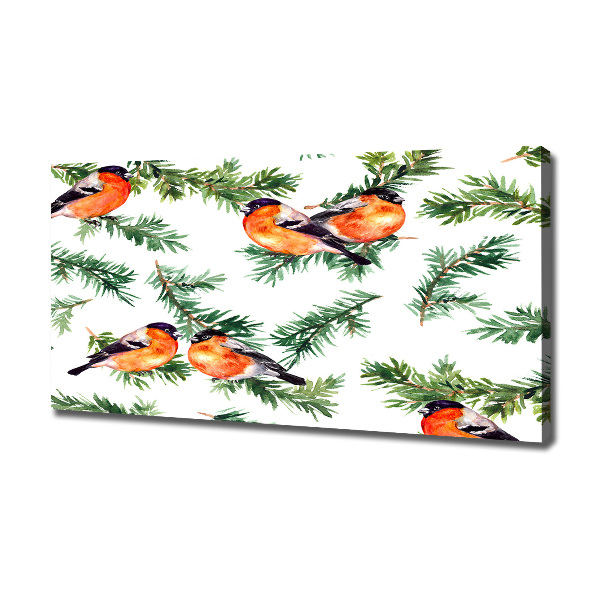 Canvas foto Roodborstje op een naaldboom