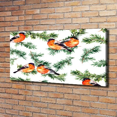 Canvas foto Roodborstje op een naaldboom