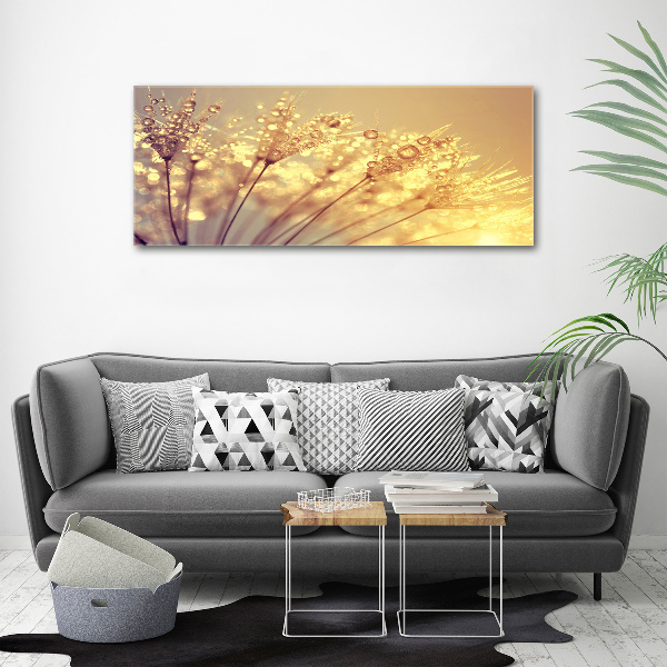 Foto canvas Paardenbloemzaden