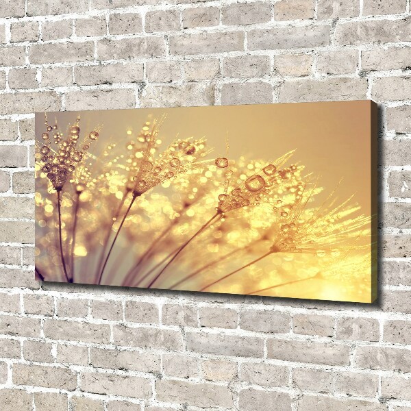 Foto canvas Paardenbloemzaden