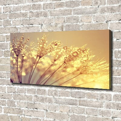 Foto canvas Paardenbloemzaden