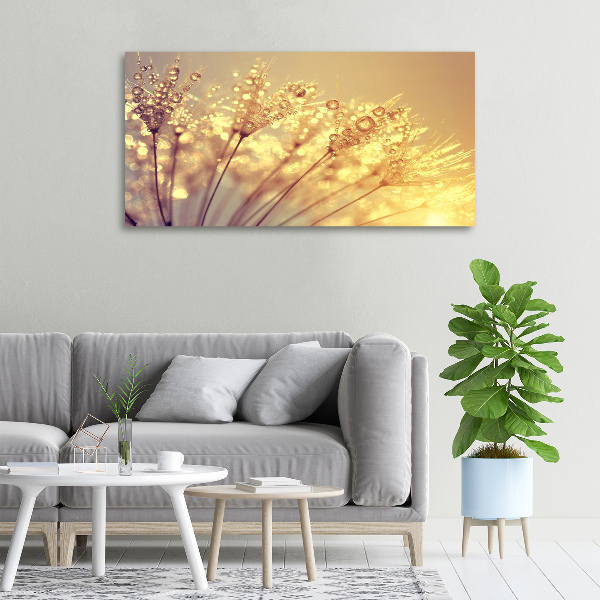 Foto canvas Paardenbloemzaden