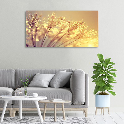 Foto canvas Paardenbloemzaden