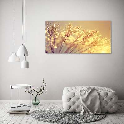 Foto canvas Paardenbloemzaden