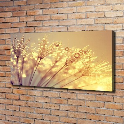 Foto canvas Paardenbloemzaden