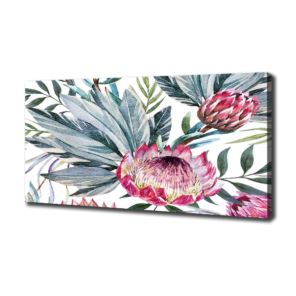 Canvas foto Protea