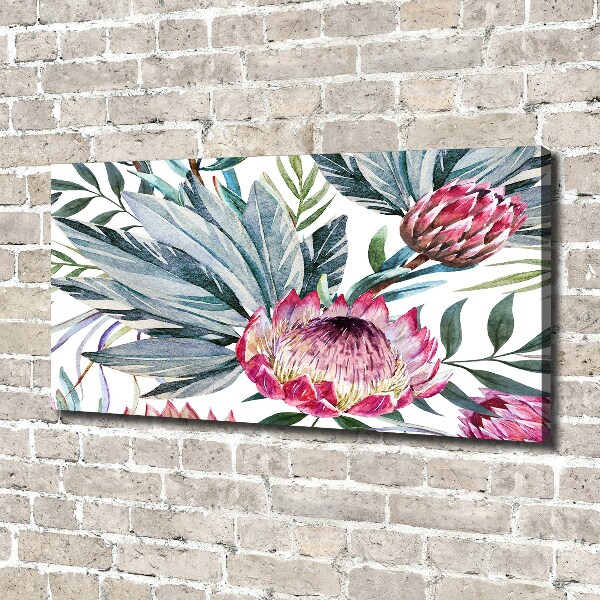 Canvas foto Protea