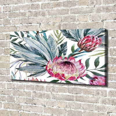 Canvas foto Protea