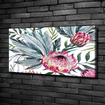 Canvas foto Protea