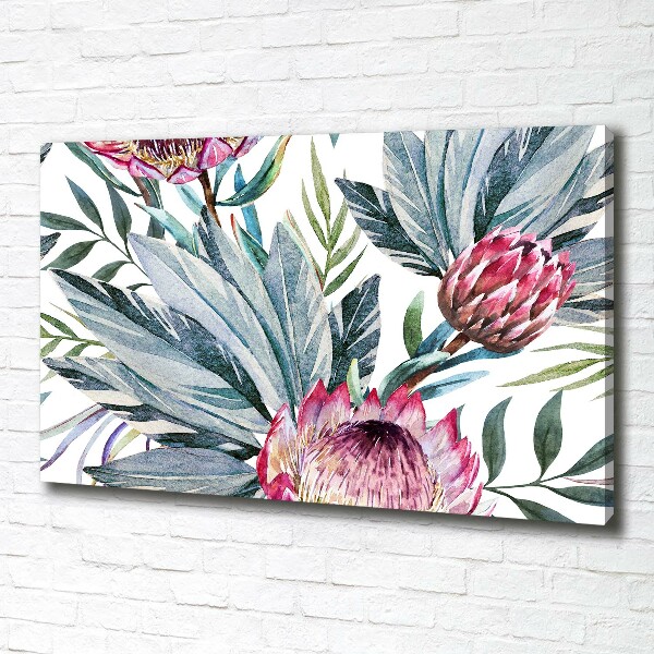 Canvas foto Protea
