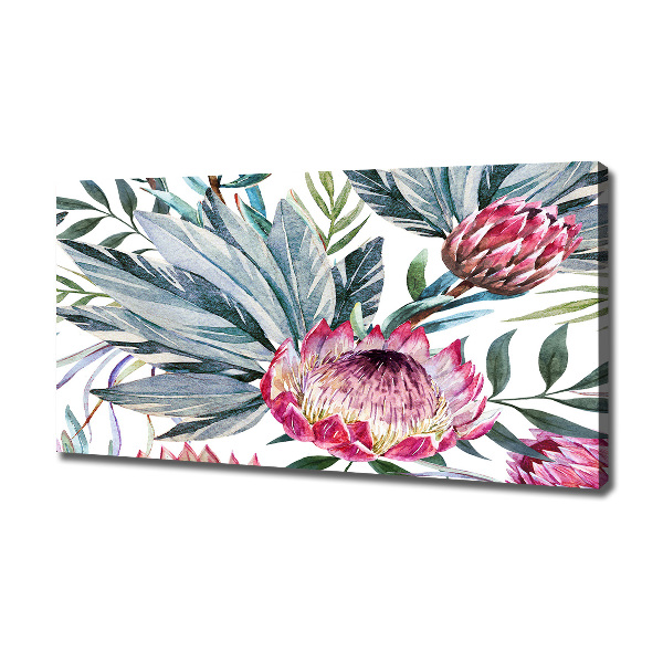 Canvas foto Protea
