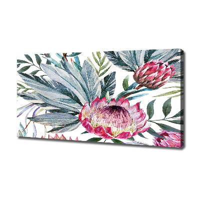 Canvas foto Protea