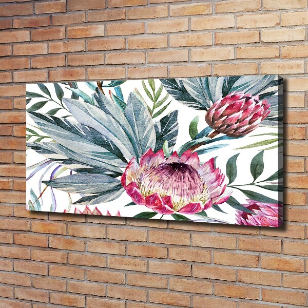 Canvas foto Protea