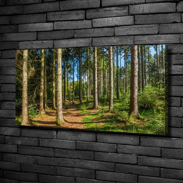 Schilderij op canvas Bospanorama