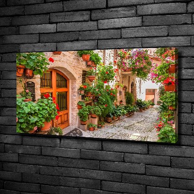 Foto op canvas Een charmante straat