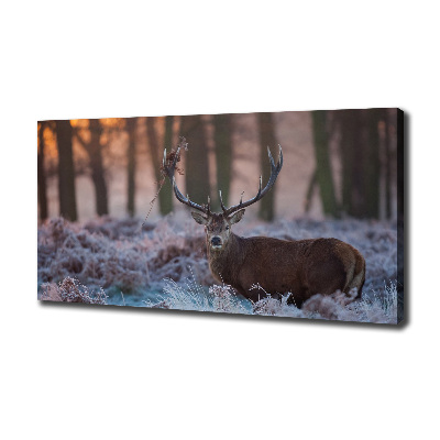 Schilderij op canvas Hert bij zonsopgang