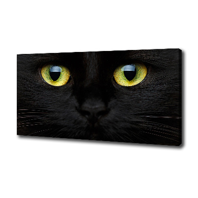 Foto canvas Kattenogen