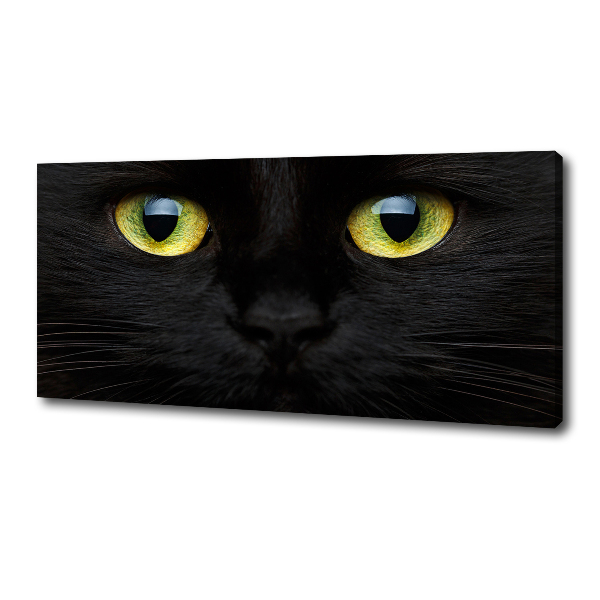 Foto canvas Kattenogen
