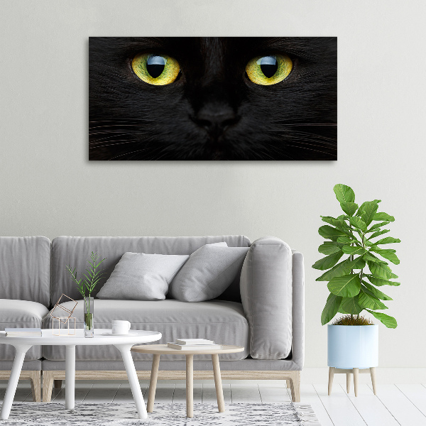 Foto canvas Kattenogen