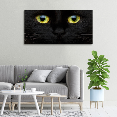 Foto canvas Kattenogen