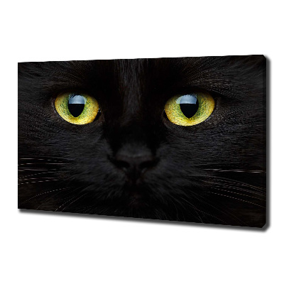 Foto canvas Kattenogen