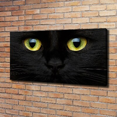 Foto canvas Kattenogen