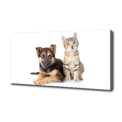 Foto op canvas Hond en kat
