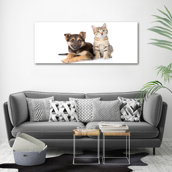 Foto op canvas Hond en kat