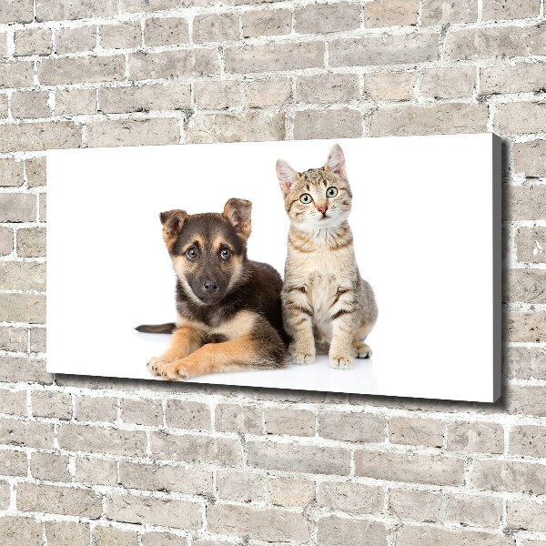 Foto op canvas Hond en kat