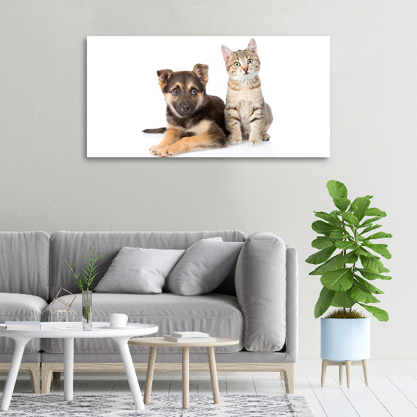 Foto op canvas Hond en kat