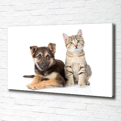Foto op canvas Hond en kat