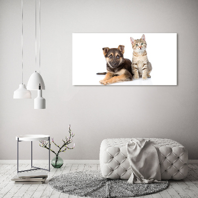 Foto op canvas Hond en kat