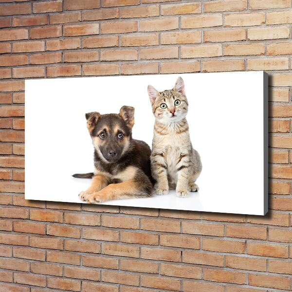 Foto op canvas Hond en kat