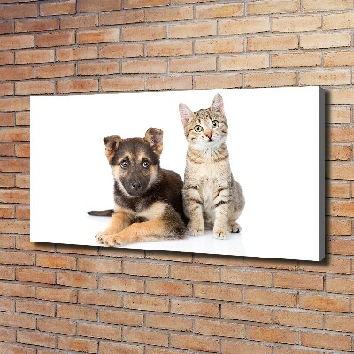 Foto op canvas Hond en kat