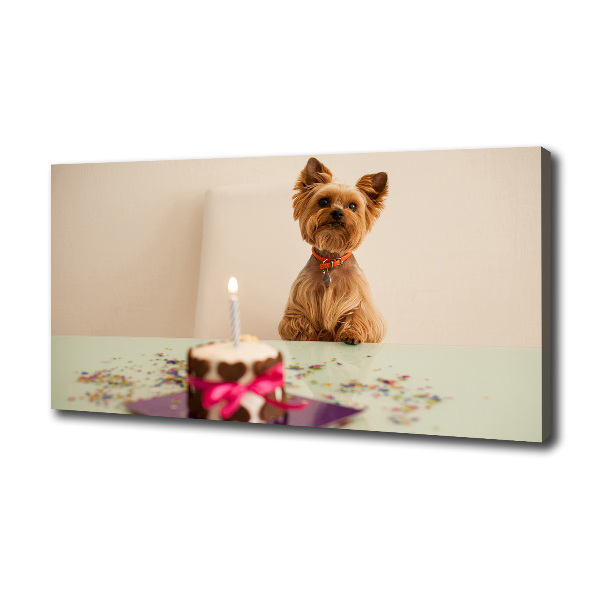 Canvas foto Hond met taart