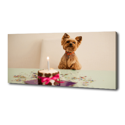 Canvas foto Hond met taart