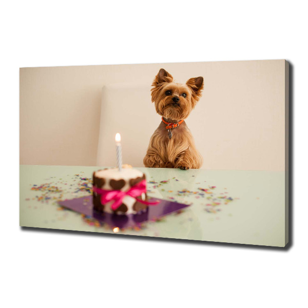Canvas foto Hond met taart