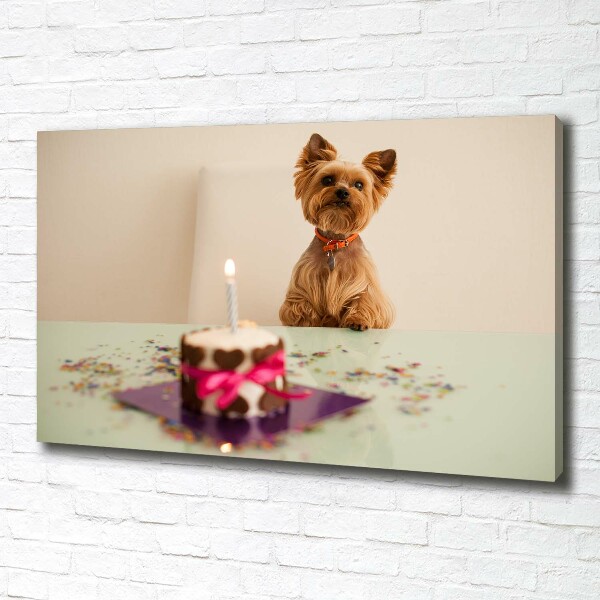 Canvas foto Hond met taart