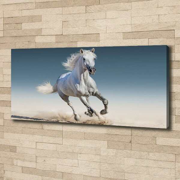 Canvas schilderij Een wit paard in galop