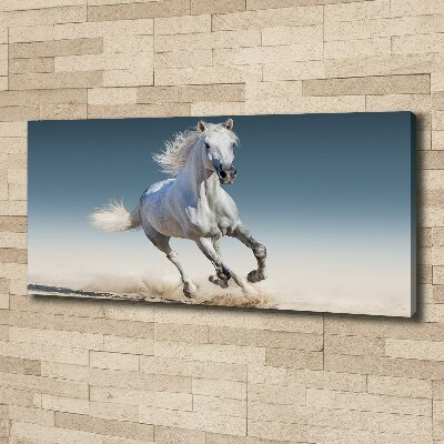 Canvas schilderij Een wit paard in galop