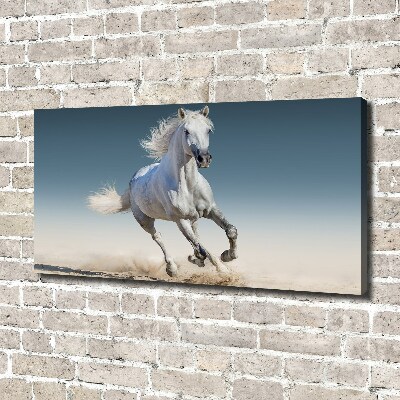 Canvas schilderij Een wit paard in galop